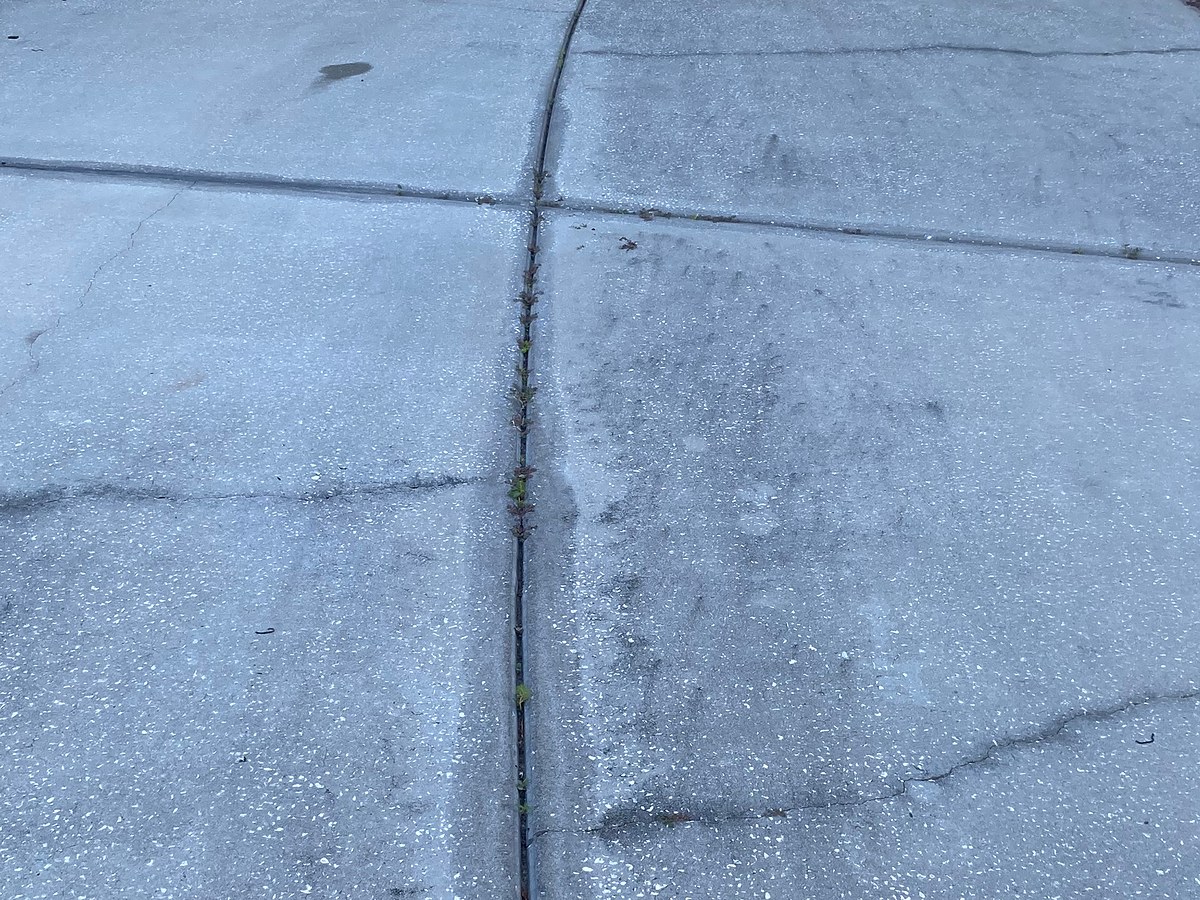 Concrete driveway with dark traffic and organic staining before exterior cleaning.
